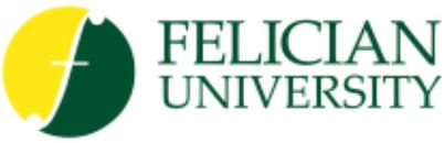 Mental Health Counselor Online: Felician University’s MACP Program Prepares Graduates for a Rewarding Career in Counseling
