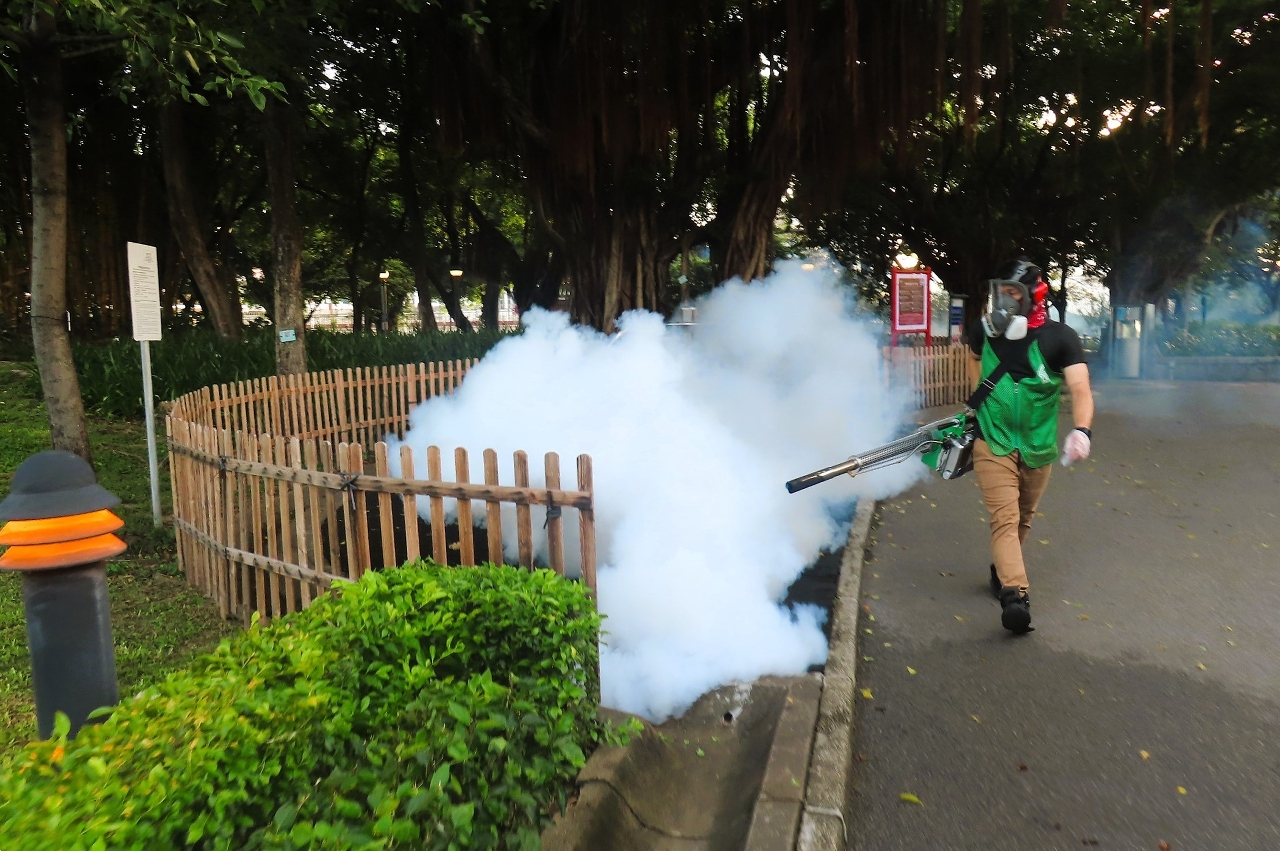 Health authorities sound alarm  after recent imported case of chikungunya fever