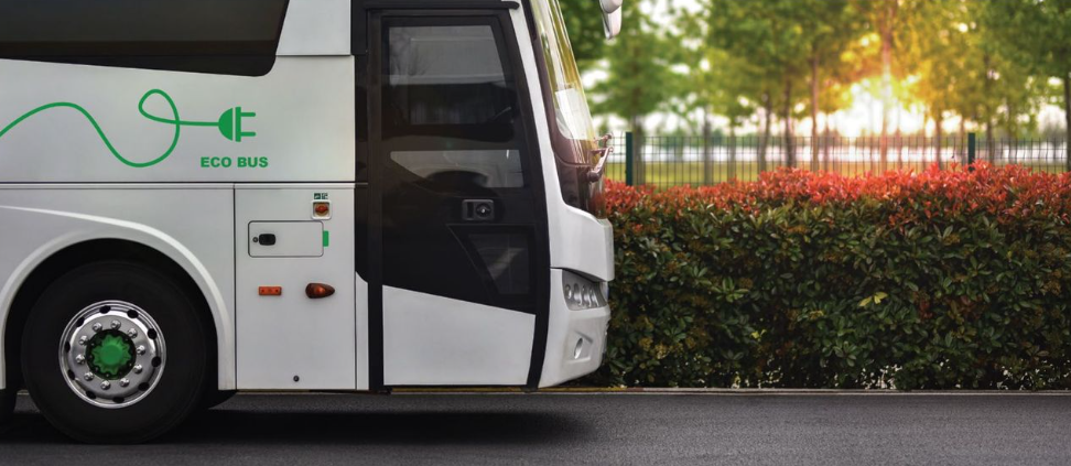 Special Report – Mixed green picture