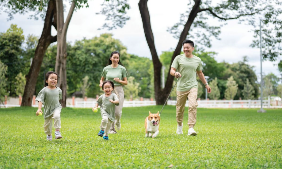 China Life ascending