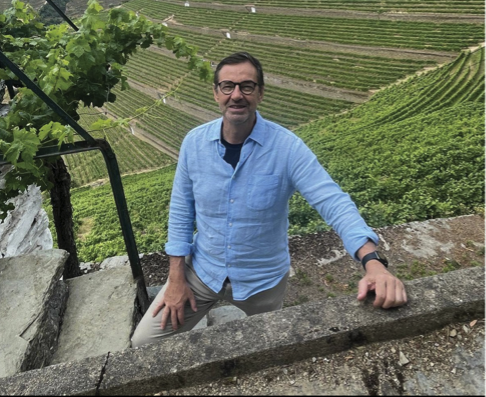 Evolving wine market trends